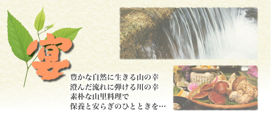 料理のご紹介 料理のご紹介